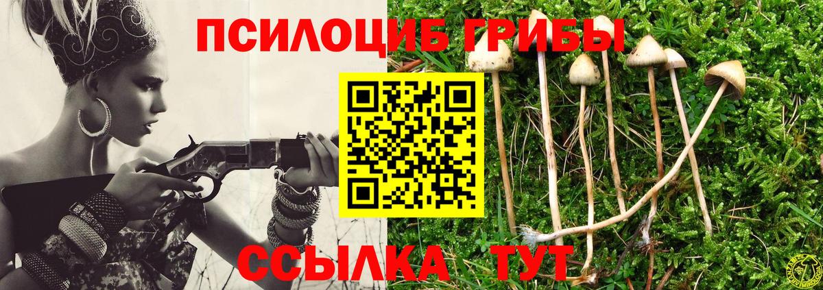 Псилоцибиновые грибы MAGIC MUSHROOMS Выборг