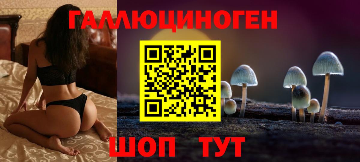 Выборг  Галлюциногенные грибы ЛСД  Вход с VPN  Галлюциногенные грибы мицелий 